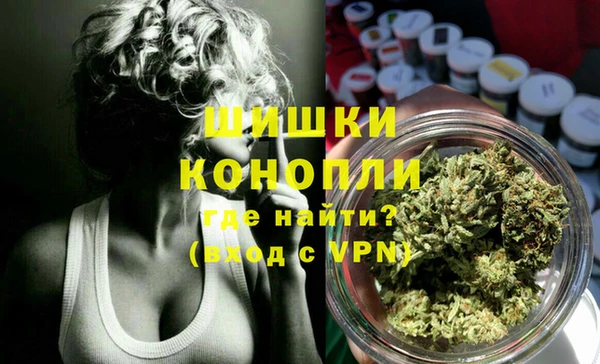гашик Алзамай