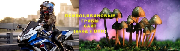 амф Алексеевка