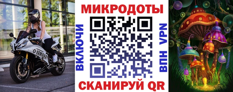 ссылка на мегу маркетплейс  Махачкала  Псилоцибиновые грибы ЛСД 