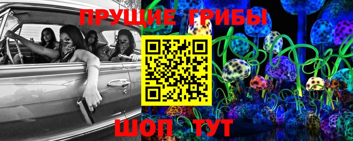Псилоцибиновые грибы GOLDEN TEACHER Махачкала