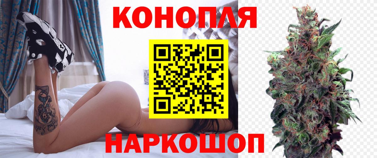 Каннабис планчик Махачкала