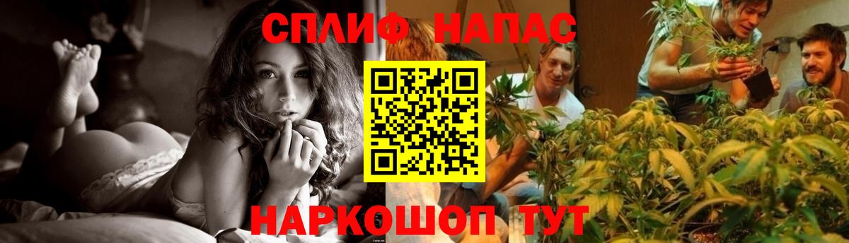 Махачкала  Канабис AK-47  Вход с VPN  Конопля сатива  Бошки марихуана гибрид  Бошки марихуана сатива 